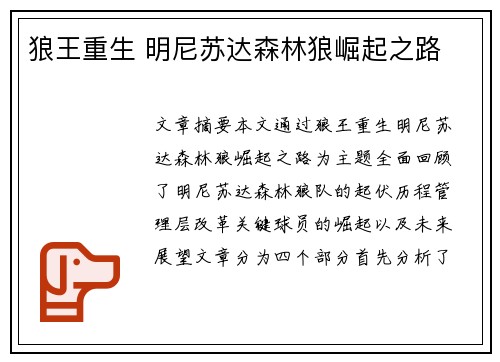 狼王重生 明尼苏达森林狼崛起之路